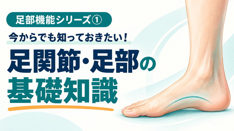 足部機能シリーズ① 今からでも知っておきたい!足関節・足部の基礎知識