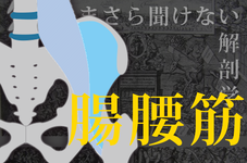 いまさら聞けない解剖学講座 vol.1 腸腰筋