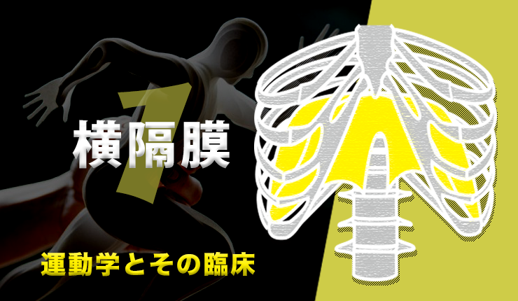 【プレミアム】運動学とその臨床　vol.1 横隔膜　山﨑敦先生