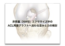 非荷重（NWB）エクササイズ中の ACL再建グラフトへ加わる歪みと力の検討【論文から学ぶエビデンス】