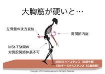 大胸筋の鍛え方からストレッチまで解剖学・運動学的に正しく解説
