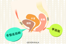 呼吸を利用した【骨盤底筋群】調整法