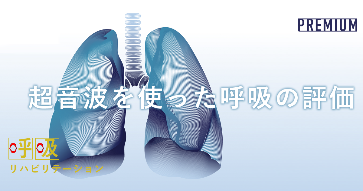 超音波を使った呼吸の評価     ~ 昭和大学大学院保健医療学研究科呼吸ケア領域  宮川哲夫先生 ~