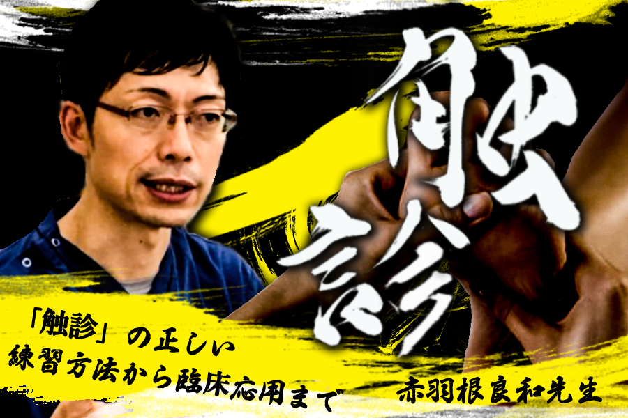 伝えておきたい触診の感覚ー触診編ー