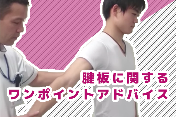 腱板（ローテーターカフ）に関するワンポイントアドバイス【千葉慎一先生｜理学療法士】