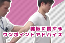 腱板（ローテーターカフ）に関するワンポイントアドバイス【千葉慎一先生｜理学療法士】