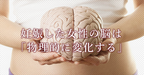 女性の脳は妊娠すると物理的にも変化する｜Nature Neuroscience誌