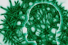 脳波を読み、麻痺手の神経回路回復を図るリハビリ機器を開発