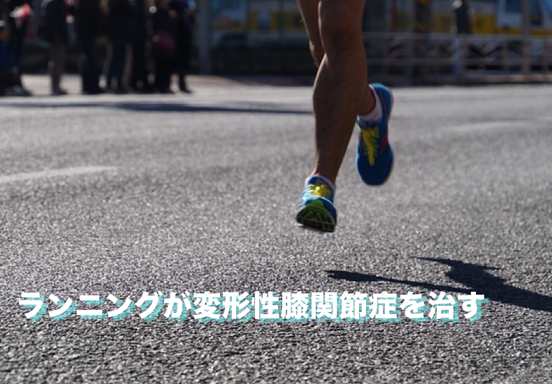ランニングが変形性膝関節症を予防する