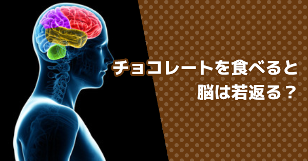 カカオを多く含むチョコレートを毎日食べると…？