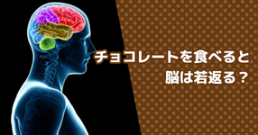 カカオを多く含むチョコレートを毎日食べると…？
