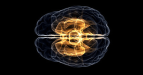 「安静時fMRI」は本当に有効？血液の流れとニューロンの関連性