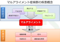 理学療法士がアライメントを変える意義と必要性