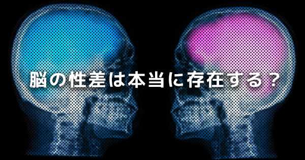 【男性脳と女性脳】脳の性差は本当に存在する？｜英国の研究結果