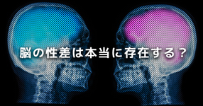 【男性脳と女性脳】脳の性差は本当に存在する？｜英国の研究結果