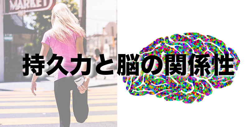 持久力と脳の関係性を解明｜筑波大学