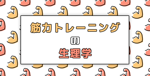 【図解】筋力トレーニングの生理学
