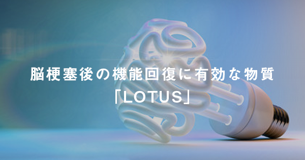 脳梗塞後の機能回復に有効な神経回路形成因子「LOTUS」~治療への臨床応用に期待～