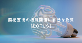 脳梗塞後の機能回復に有効な神経回路形成因子「LOTUS」~治療への臨床応用に期待～