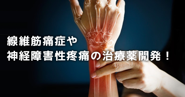 【最新】レディーガガも公表した「線維筋痛症」や神経障害性疼痛の治療薬開発！