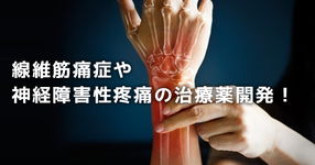 【最新】レディーガガも公表した「線維筋痛症」や神経障害性疼痛の治療薬開発！