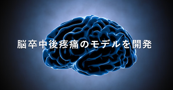 脳卒中後疼痛のモデルを開発 | 視床痛アロディニアの回復促進へ