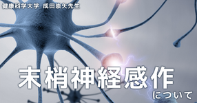 末梢神経感作について ~SLRで痛みが生じる理由~