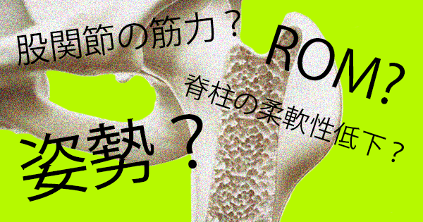 股関節OAの進行に関わる要因は、股関節の筋力？ROM?姿勢？脊柱の柔軟性低下？