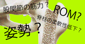 股関節OAの進行に関わる要因は、股関節の筋力？ROM?姿勢？脊柱の柔軟性低下？
