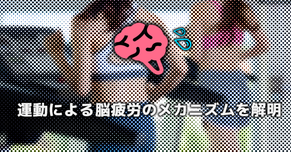 【研究】運動による脳疲労のメカニズムを解明｜筑波大学