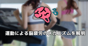 【研究】運動による脳疲労のメカニズムを解明｜筑波大学