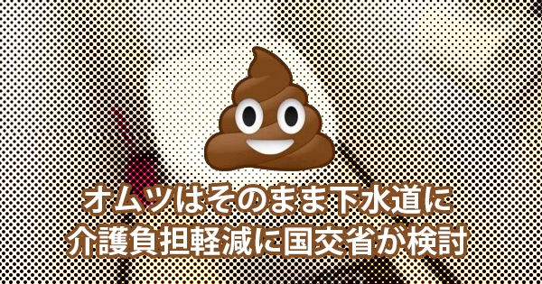 オムツはそのまま下水道にポイっ！介護負担軽減に国交省が検討