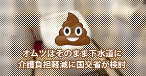 オムツはそのまま下水道にポイっ！介護負担軽減に国交省が検討