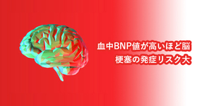 血中BNP値が高いほど脳梗塞の発症リスク大
