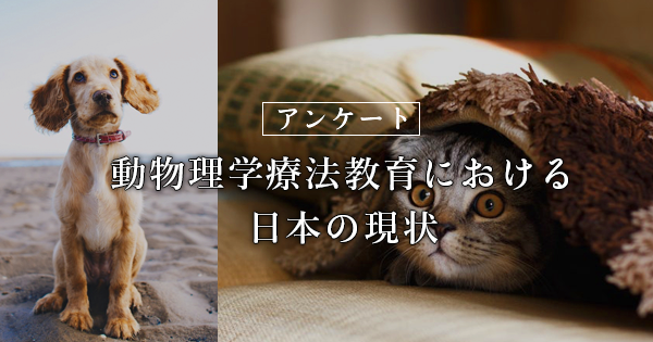 動物理学療法教育における日本の現状|PT協会アンケート結果より
