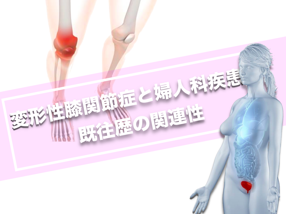 変形性膝関節症と婦人科疾患既往歴の関連性