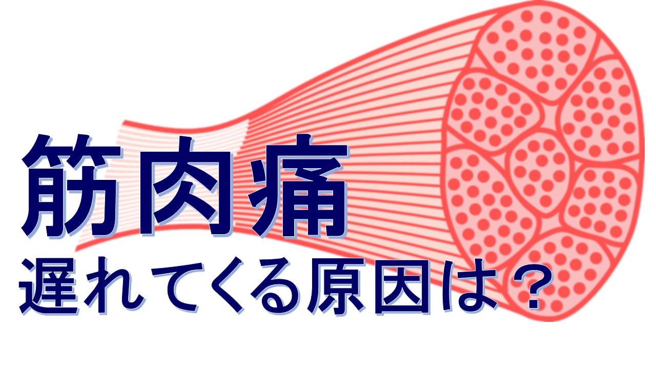 筋肉痛の発生時間　要因は?
