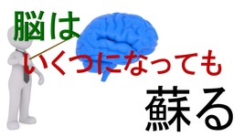 高齢者にも成長途中の脳細胞を発見