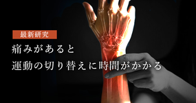 痛みがあると運動の切り替えに時間がかかる｜畿央大学