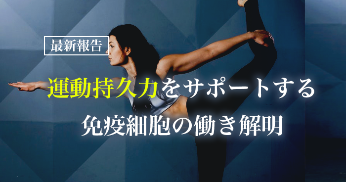運動持久力をサポートする免疫細胞の働き解明｜東北大学