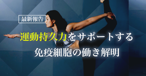運動持久力をサポートする免疫細胞の働き解明｜東北大学