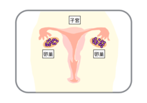 誰でもわかる！月経のメカニズム①
