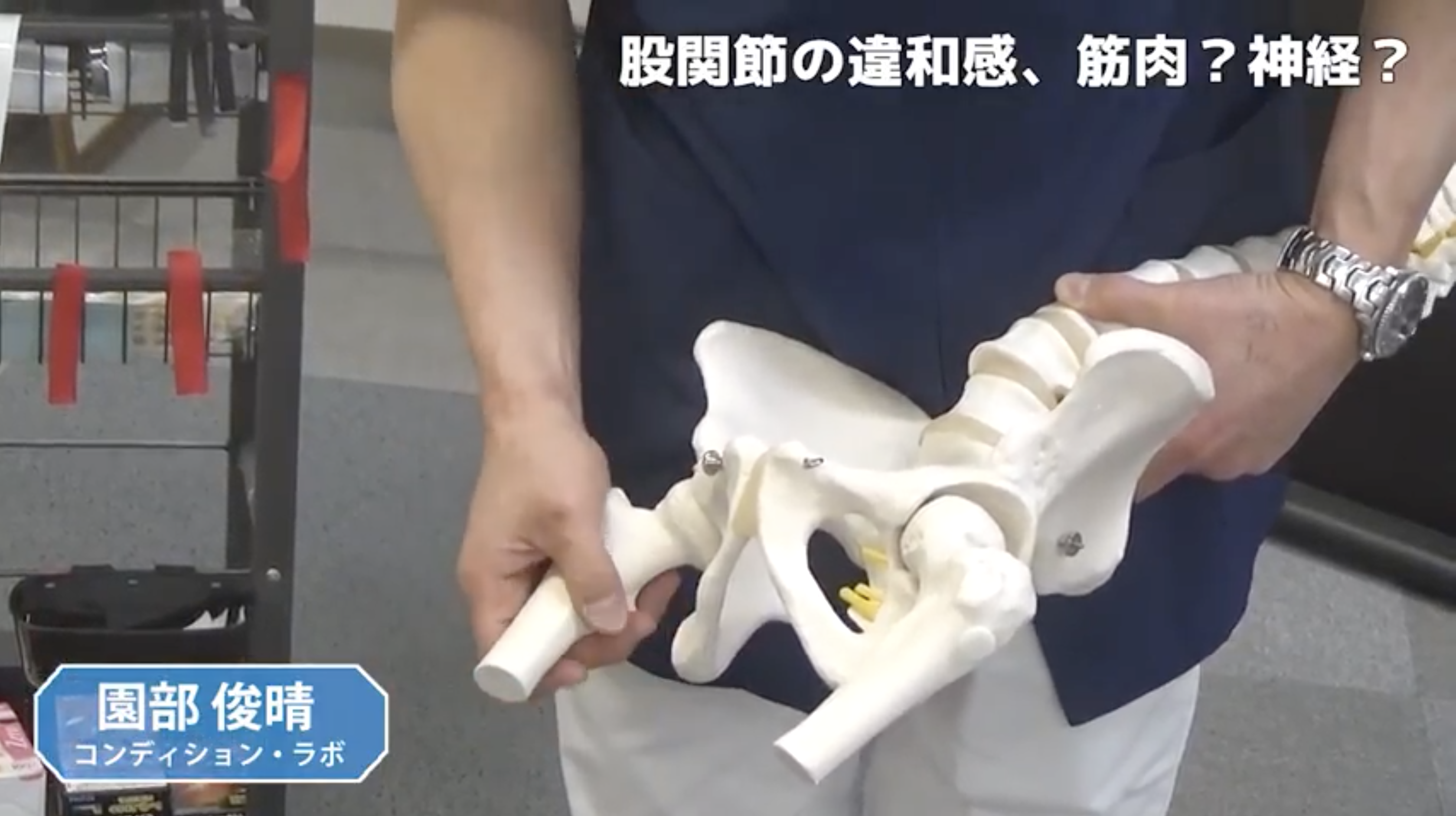 股関節の違和感に対するクリニカルリーズニング｜園部俊晴先生
