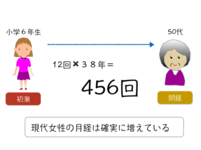 誰でもわかる！月経のメカニズム②