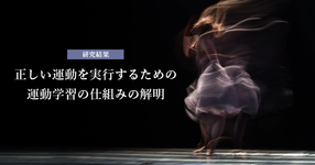 正しい運動を実行するための運動学習の仕組みの解明