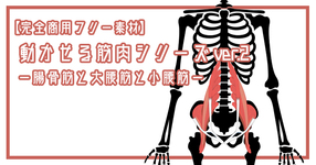 【完全商用フリー素材】動かせる筋肉シリーズver.２ー腸骨筋と大腰筋と小腰筋ー#2