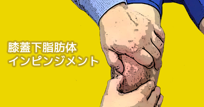 膝蓋下脂肪体インピンジメント