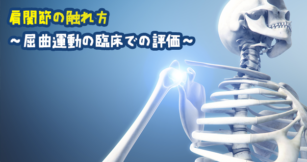 肩関節の触れ方  ～屈曲運動の臨床での評価～