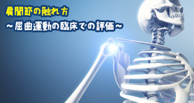 肩関節の触れ方  ～屈曲運動の臨床での評価～