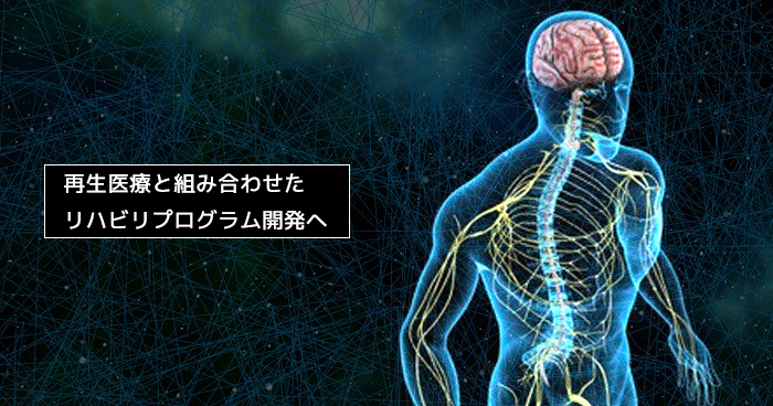 再生医療と組み合わせたリハビリプログラム開発へ｜脊髄障害医学会 